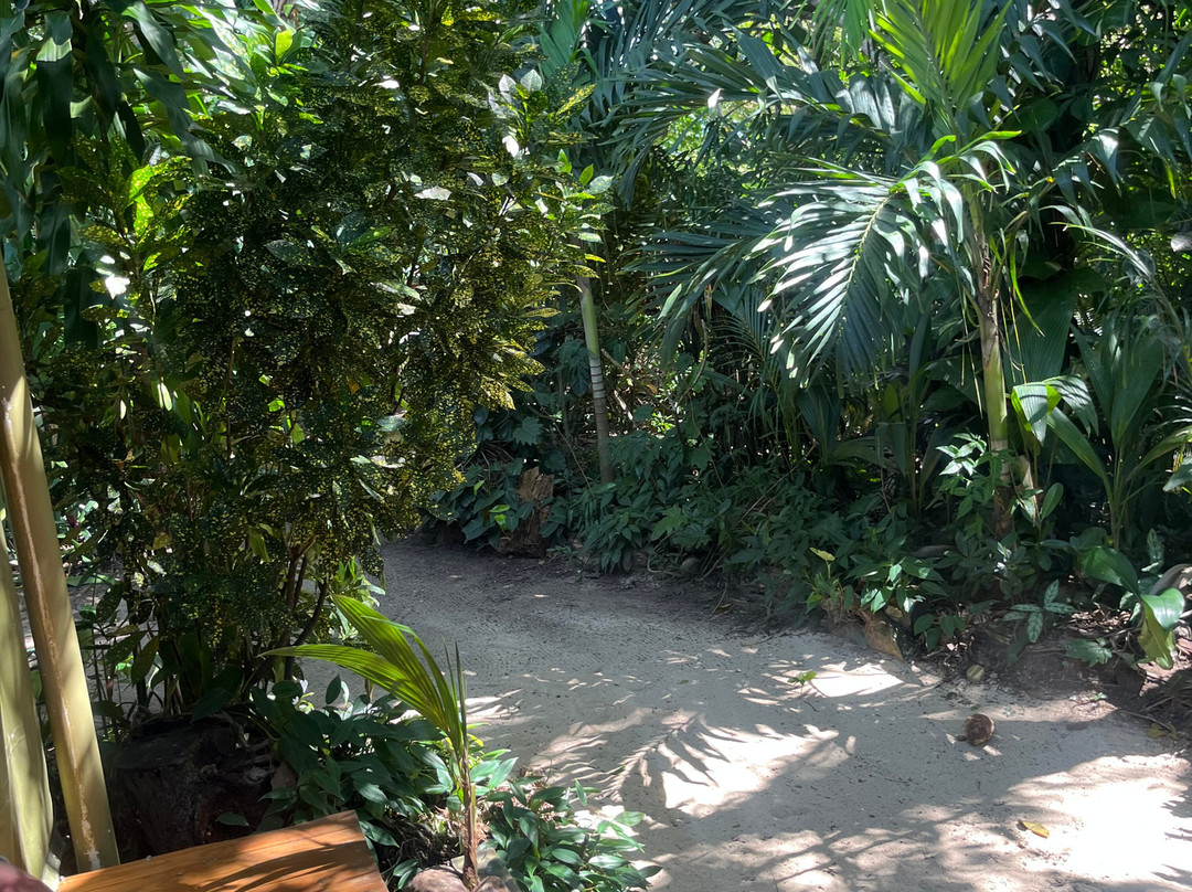 Sigatoka Spa-辛加东卡必去景点