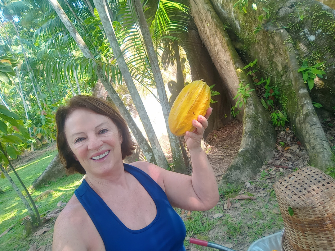 Filha Do Combu Chocolates-贝伦必去景点