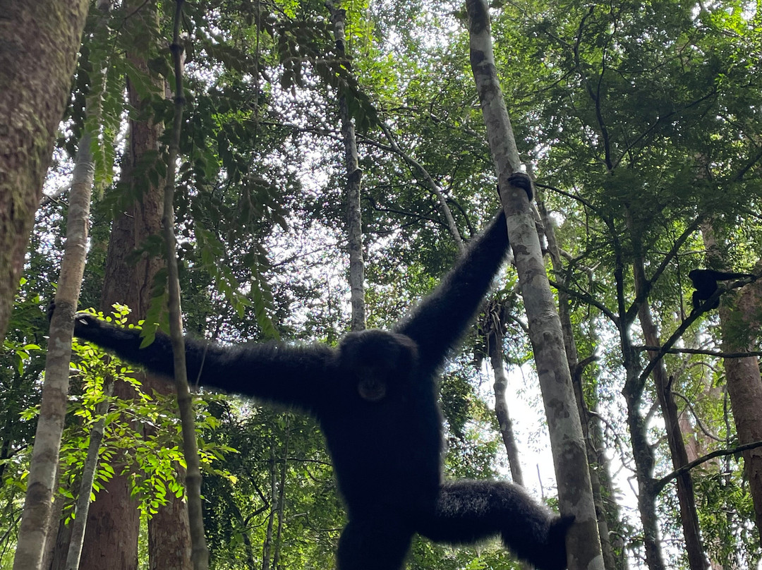 Sumatra Trekkers-武吉拉旺必去景点