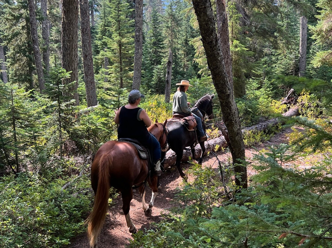 Three Peaks Outfitters - Day Tours-Cle Elum必去景点