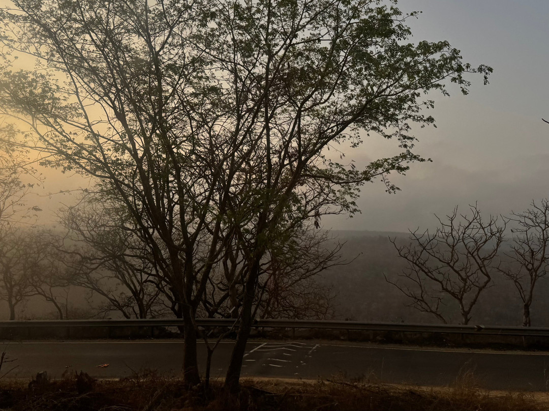 Sri Mallikarjuna Swamy Temple-Srisailam必去景点