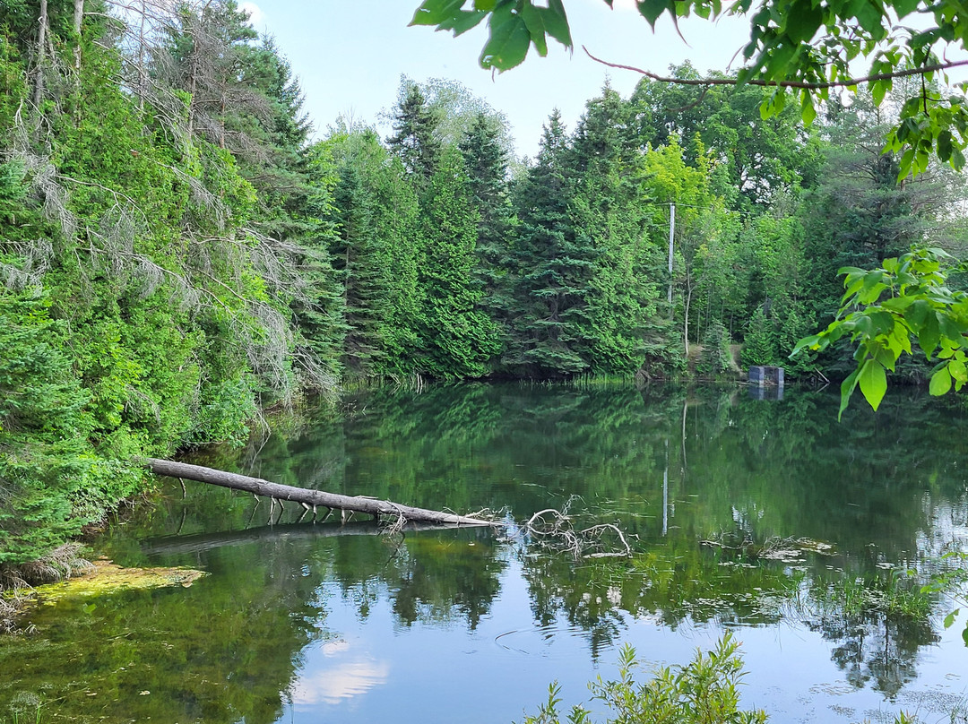 Mono Cliffs Provincial Park-Mono必去景点