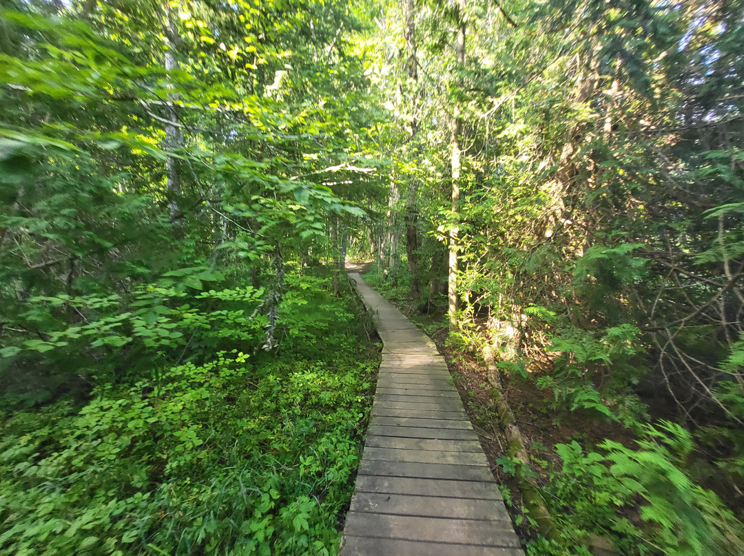 Mono Cliffs Provincial Park-Mono必去景点