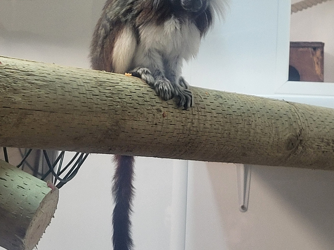 Shaldon Wildlife Trust-Shaldon必去景点