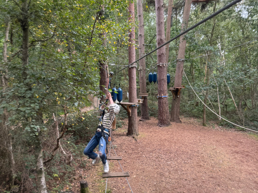 Wild Pines Park-Market Rasen必去景点