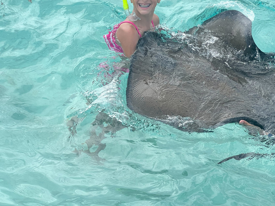 Cayman Private Charters-乔治城必去景点