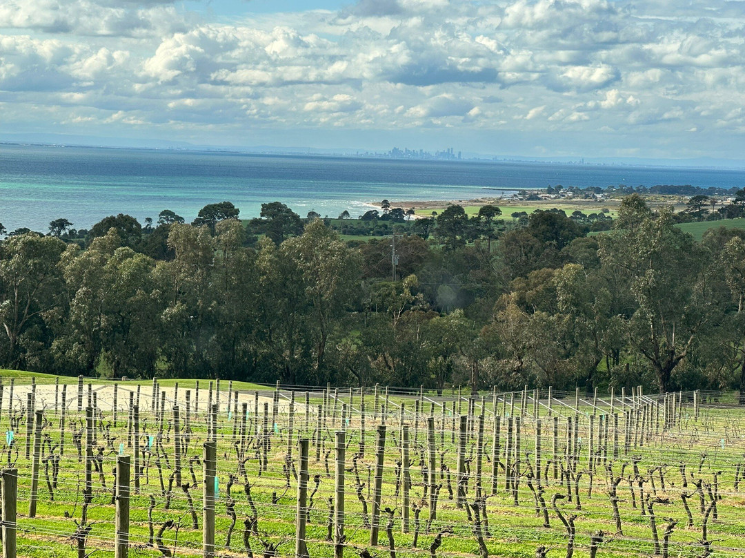 Jack Rabbit Vineyard-吉朗与贝拉里尼必去景点