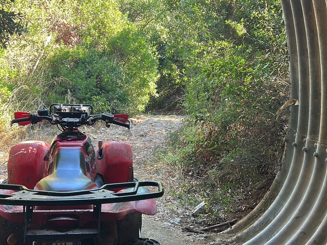 Quad Experience and Emotion-阿尔贝罗贝洛必去景点