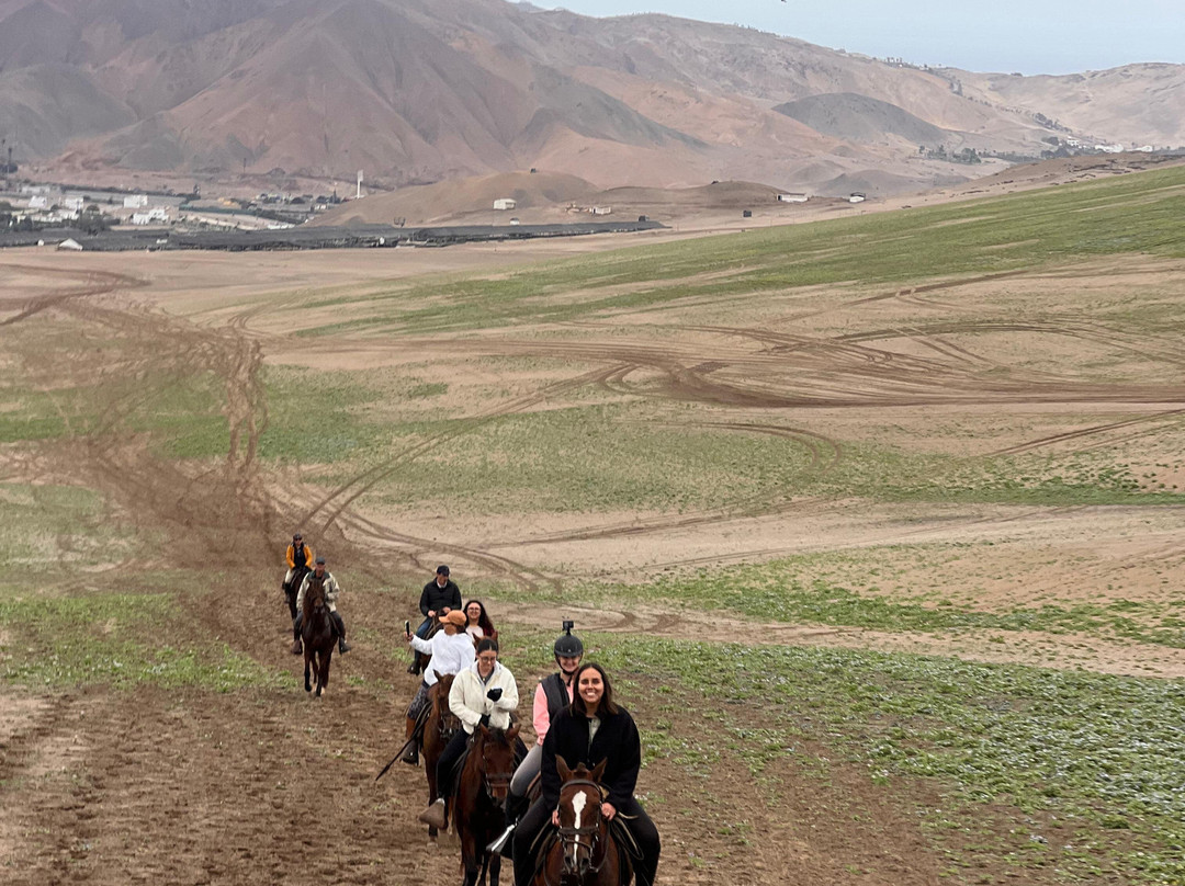 Cabalgatas-Santa Cruz de Flores必去景点