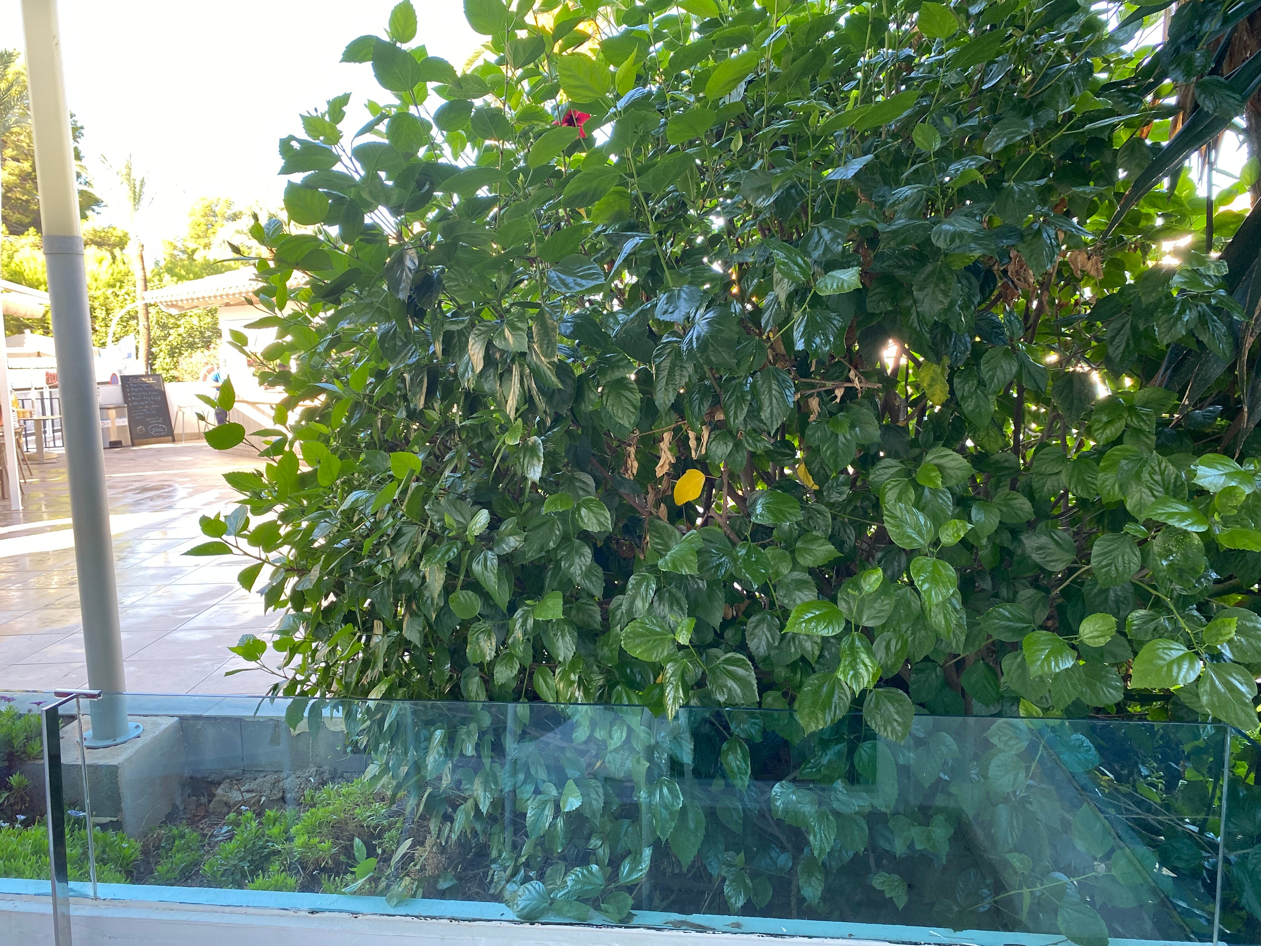 Globales Aptos. Costa De La Calma-客卧