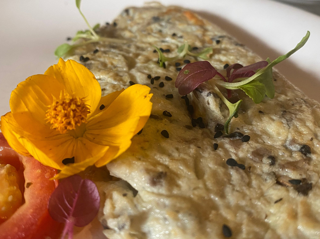 India Private Tour Driver-新德里必去景点