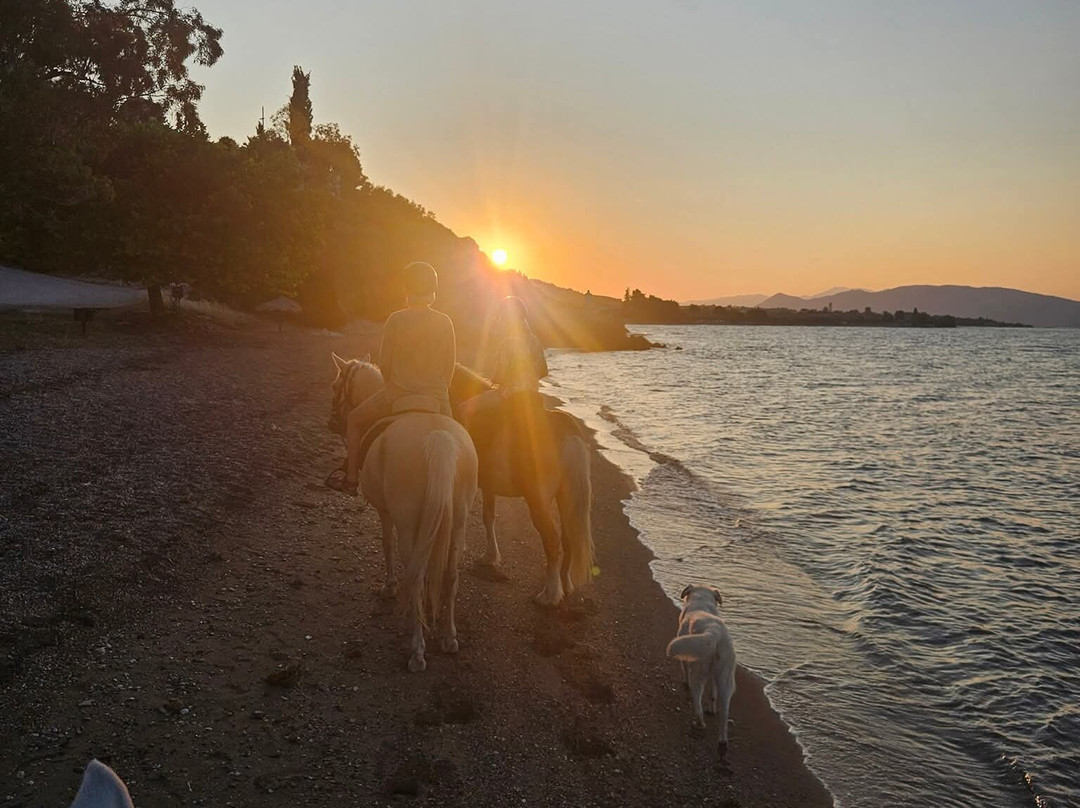 Darko World Horse Riding-Livanates必去景点