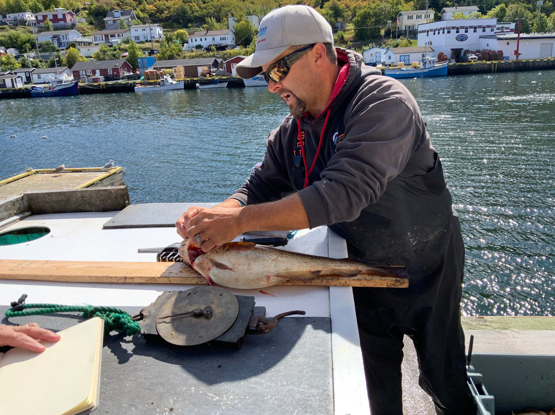 Ocean Quest Adventure Resort-Conception Bay South必去景点