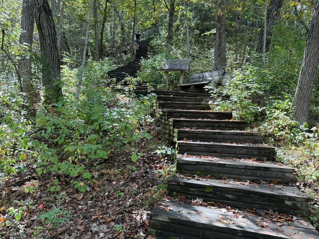 Elba Fire Tower-Altura必去景点