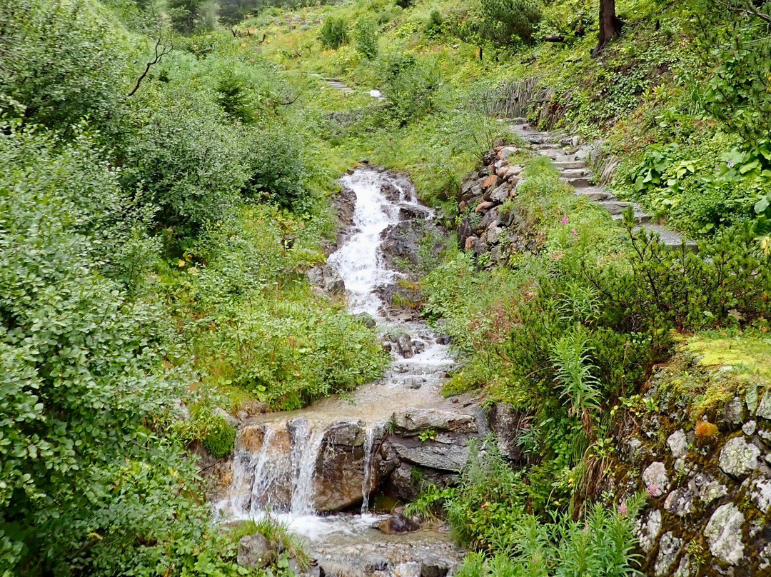 Botanical Garden Alpinum Schatzalp-Davos Platz必去景点