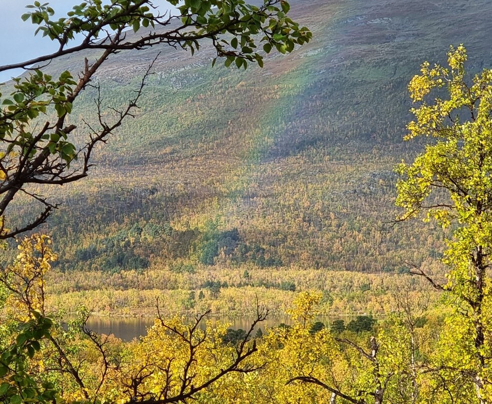 Outback Abisko-阿比斯库必去景点