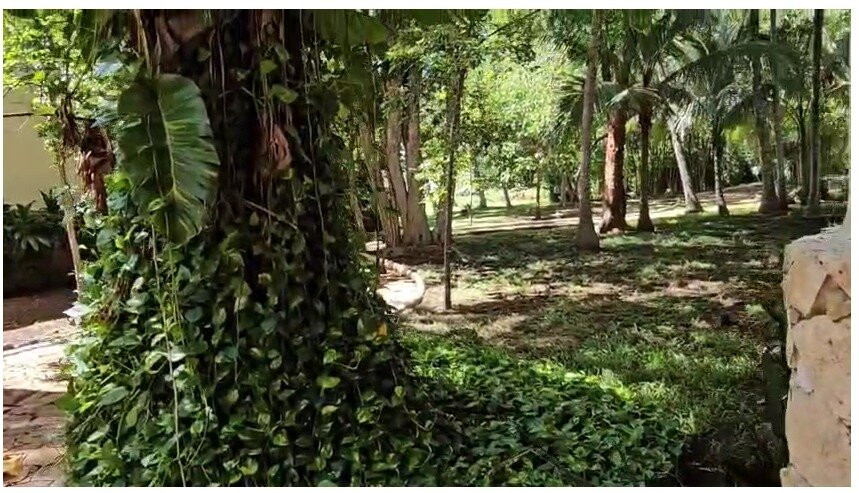 The Lodge At Uxmal主图