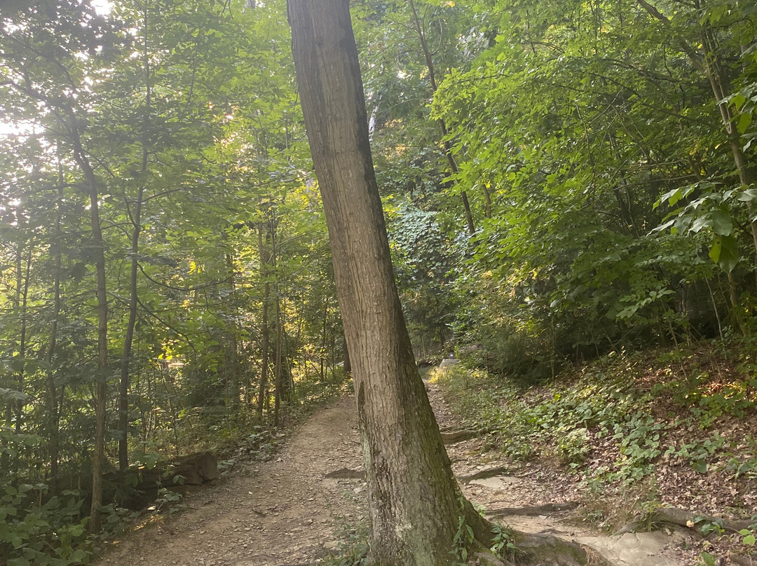 Gorge Metro Park-Cuyahoga Falls必去景点