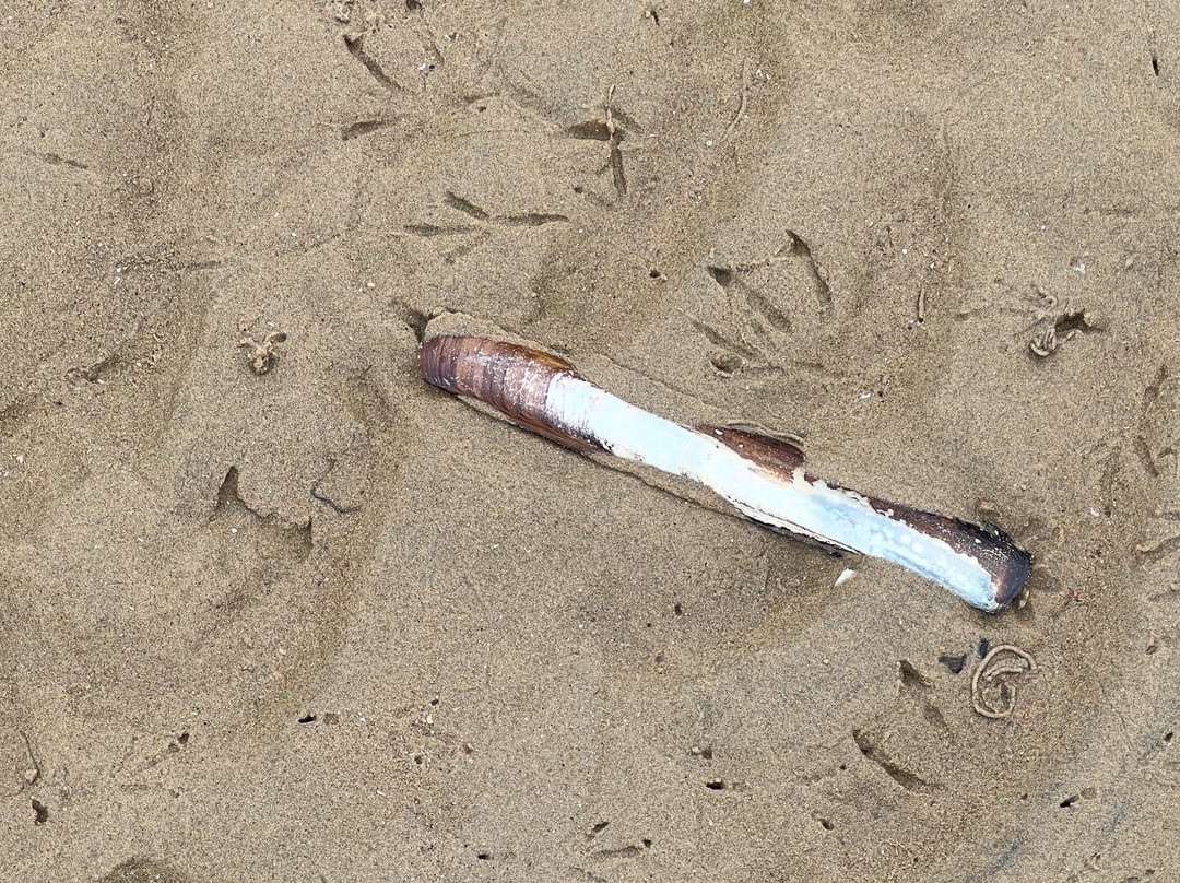 Antony Gormley's Another Place-克罗斯比必去景点