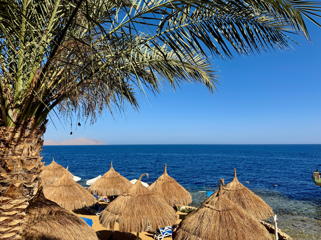 Pickalbatros Golf Luxury Suites - All Inclusive