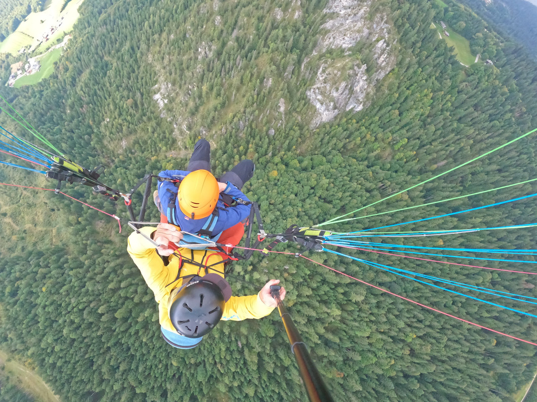 FlyTandem Paragliding-舍瑙阿姆克尼格塞必去景点