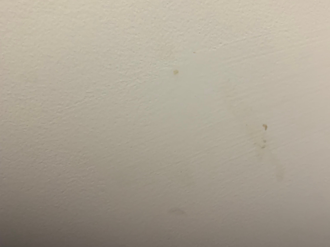 巴尔的摩酒店主图