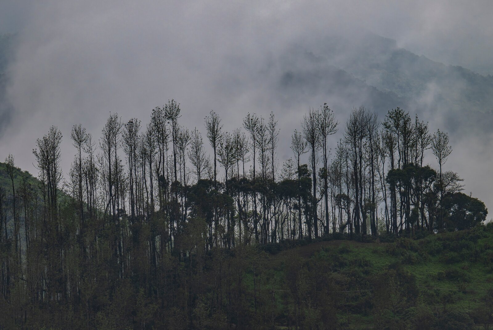 Trivik Hotels & Resorts-浴室