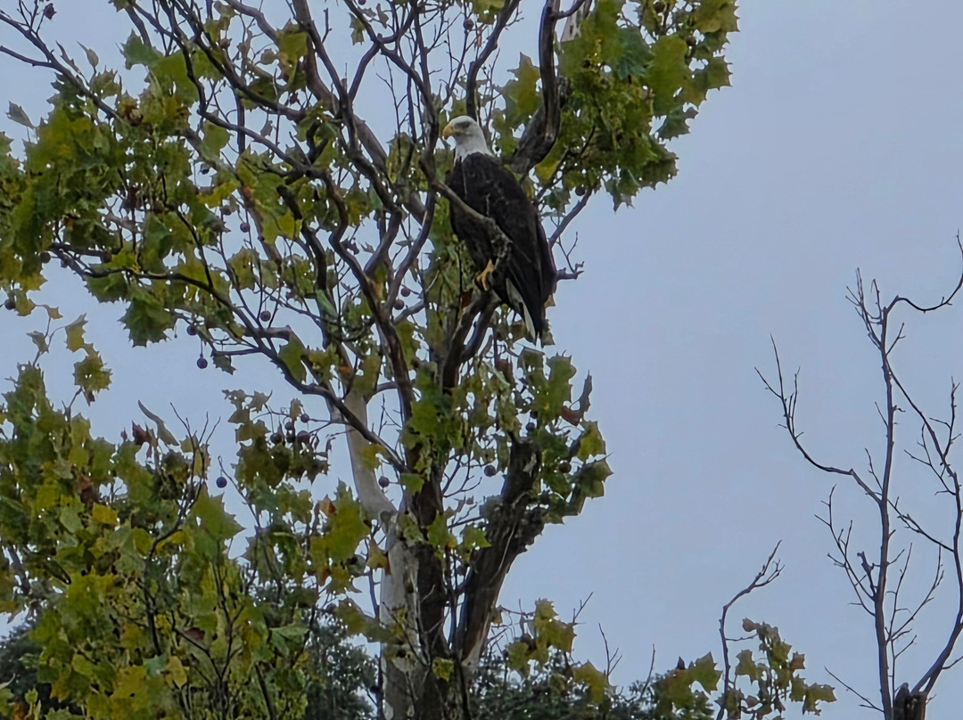 Rockin Thunder River Tours-麦迪逊必去景点