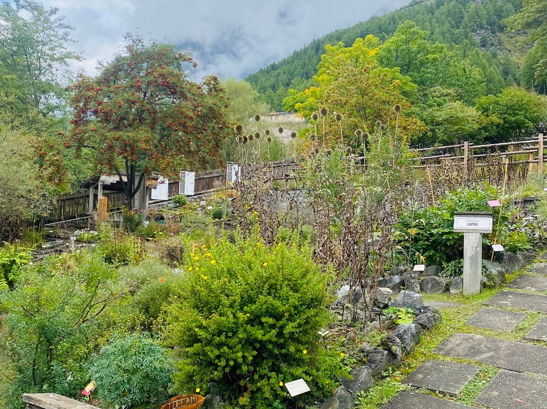 Giardino Botanico Alpino "Rezia"-博尔米奥必去景点
