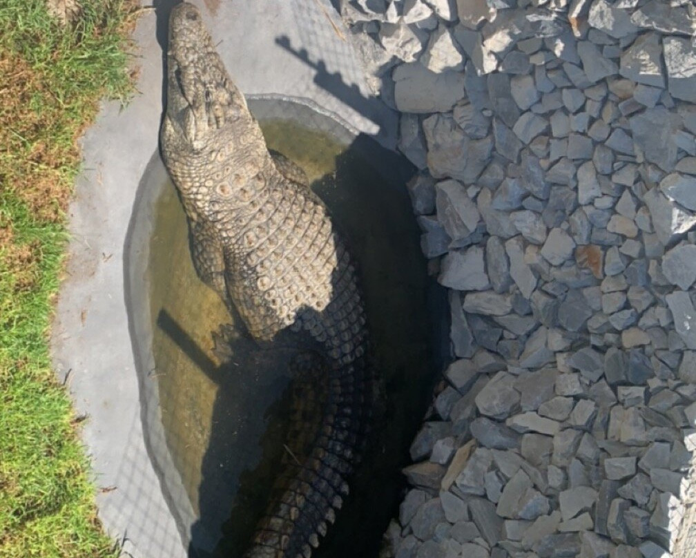 White Shark Projects-干斯拜必去景点