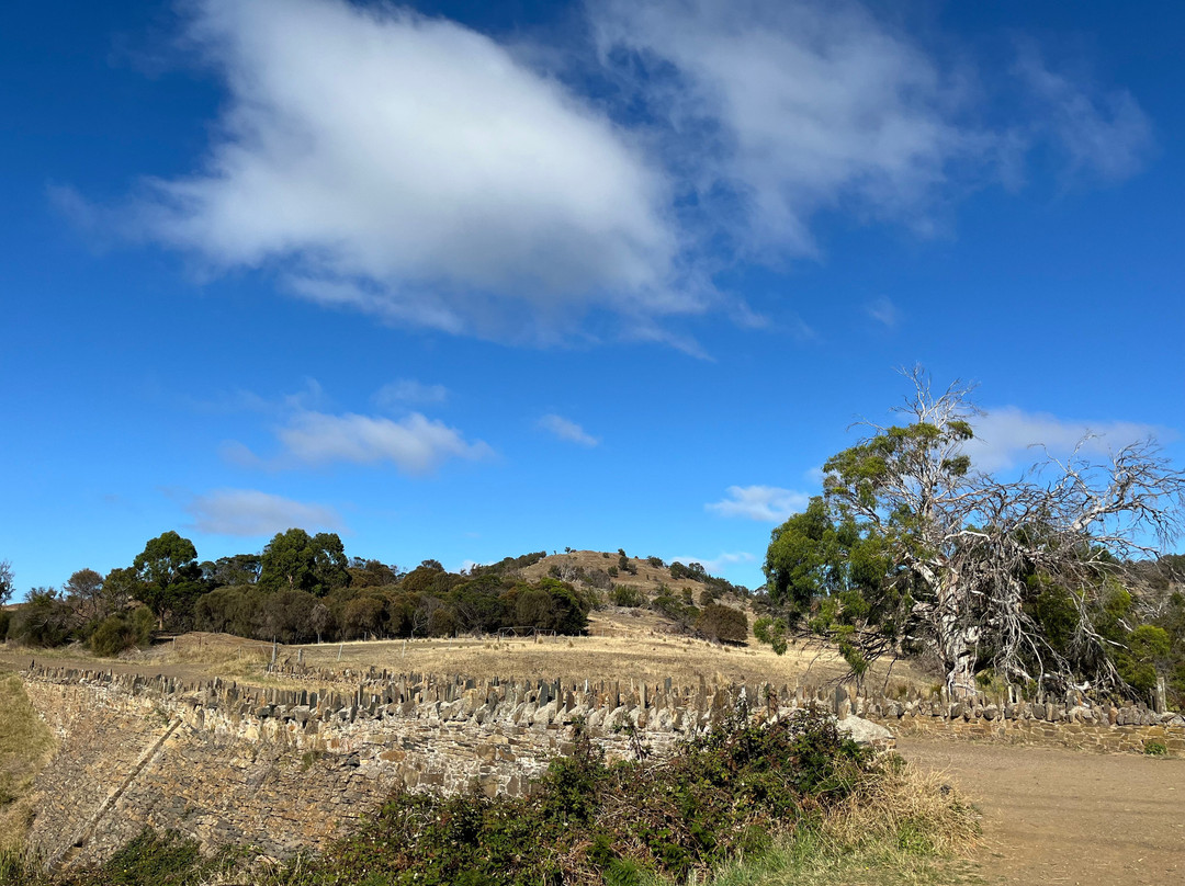 斯旺西旅游景点-Spiky Bridge