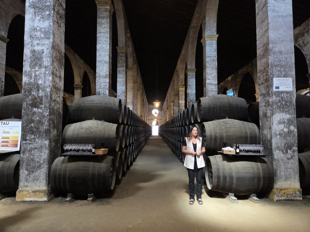 Tour Andalucia-马拉加必去景点