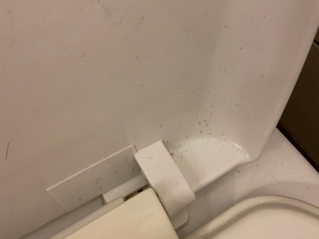 Ariana Apartments主图