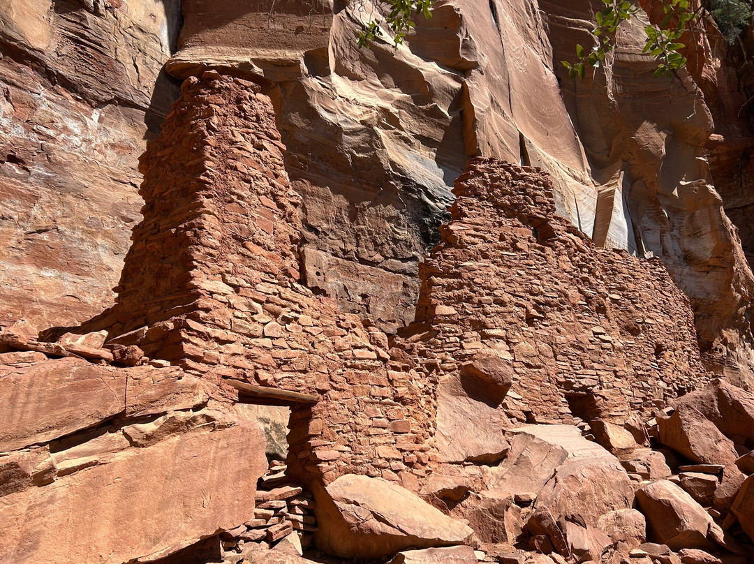 Palatki Ruins-塞多纳必去景点