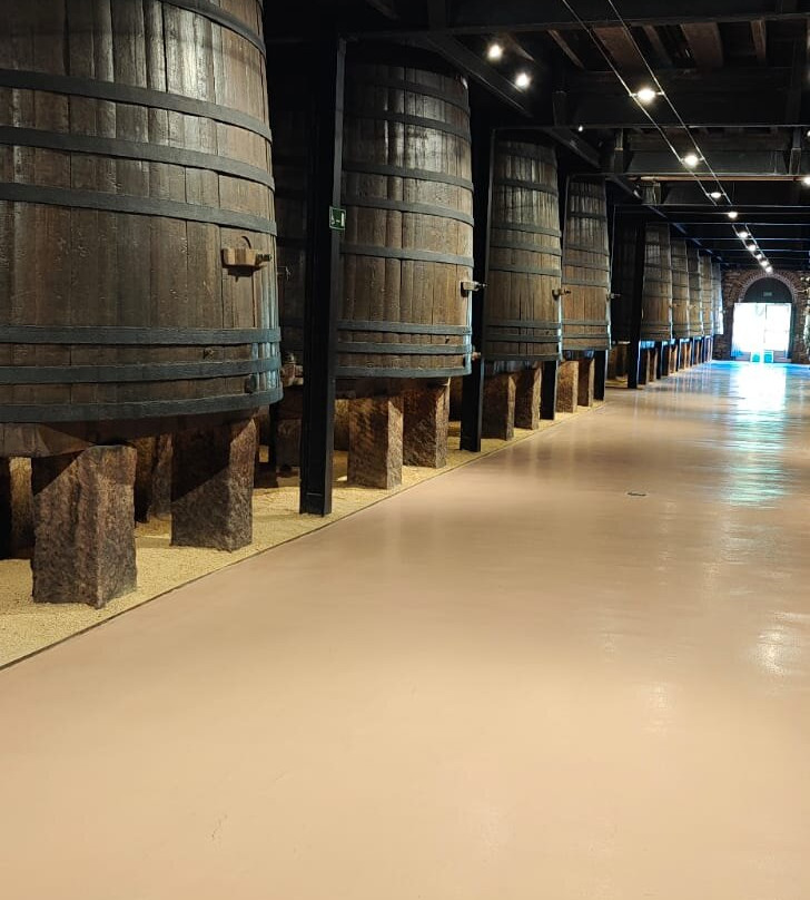 Bodegas Franco Espanolas-洛格罗尼奥必去景点