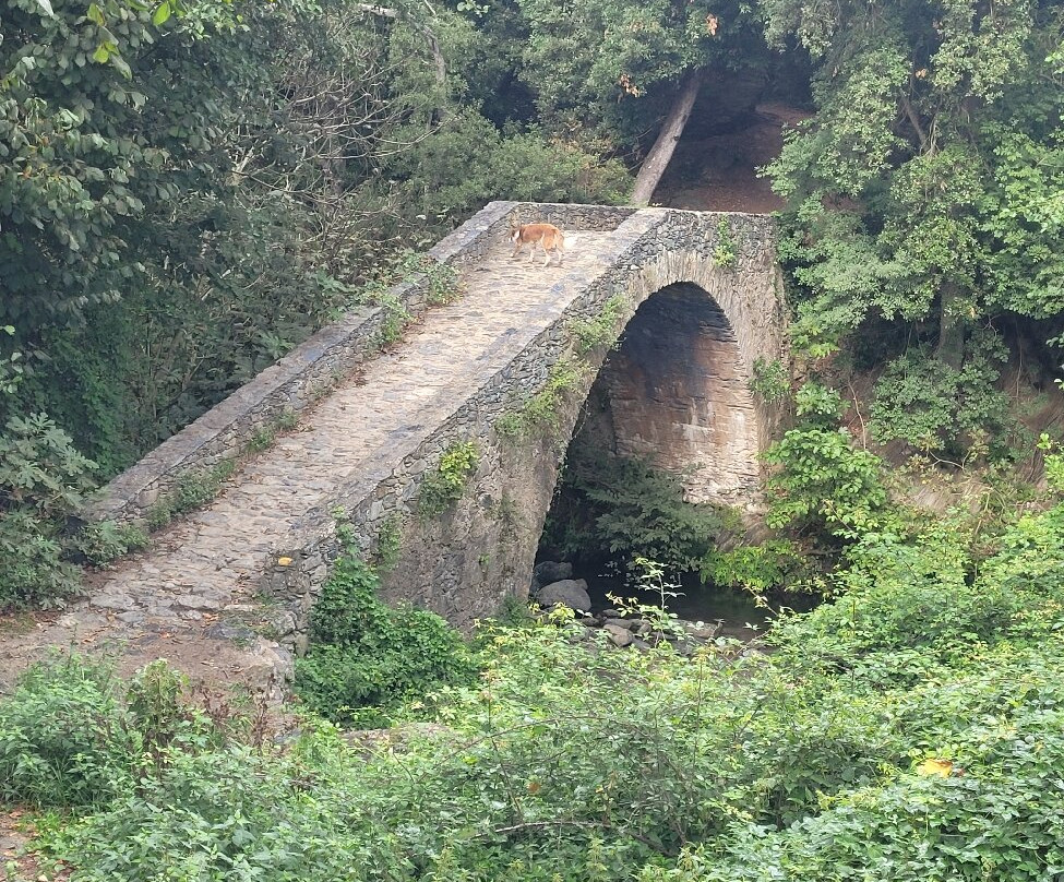 Cascade Du Buccatoghju-Santa-Maria-Poggio必去景点