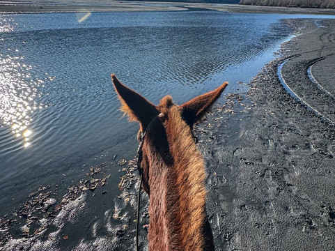 Alaska Horse Adventures-帕尔默必去景点