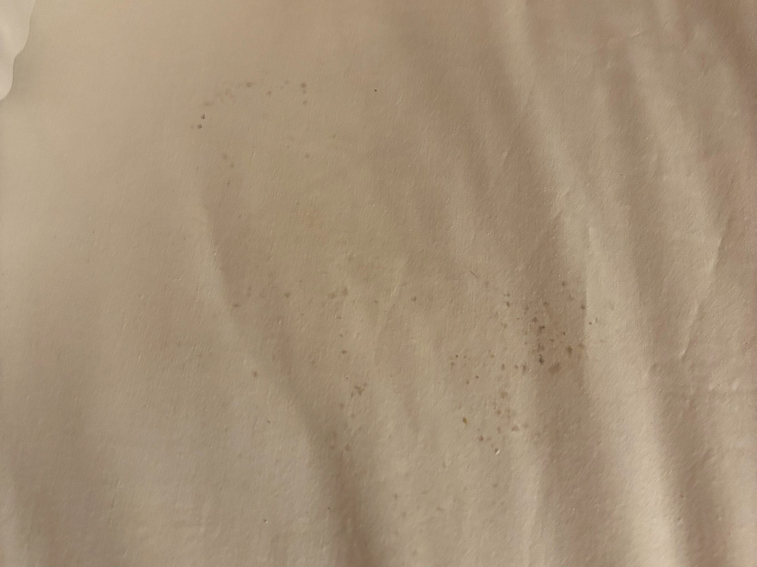 卡拉洛奇旅馆主图