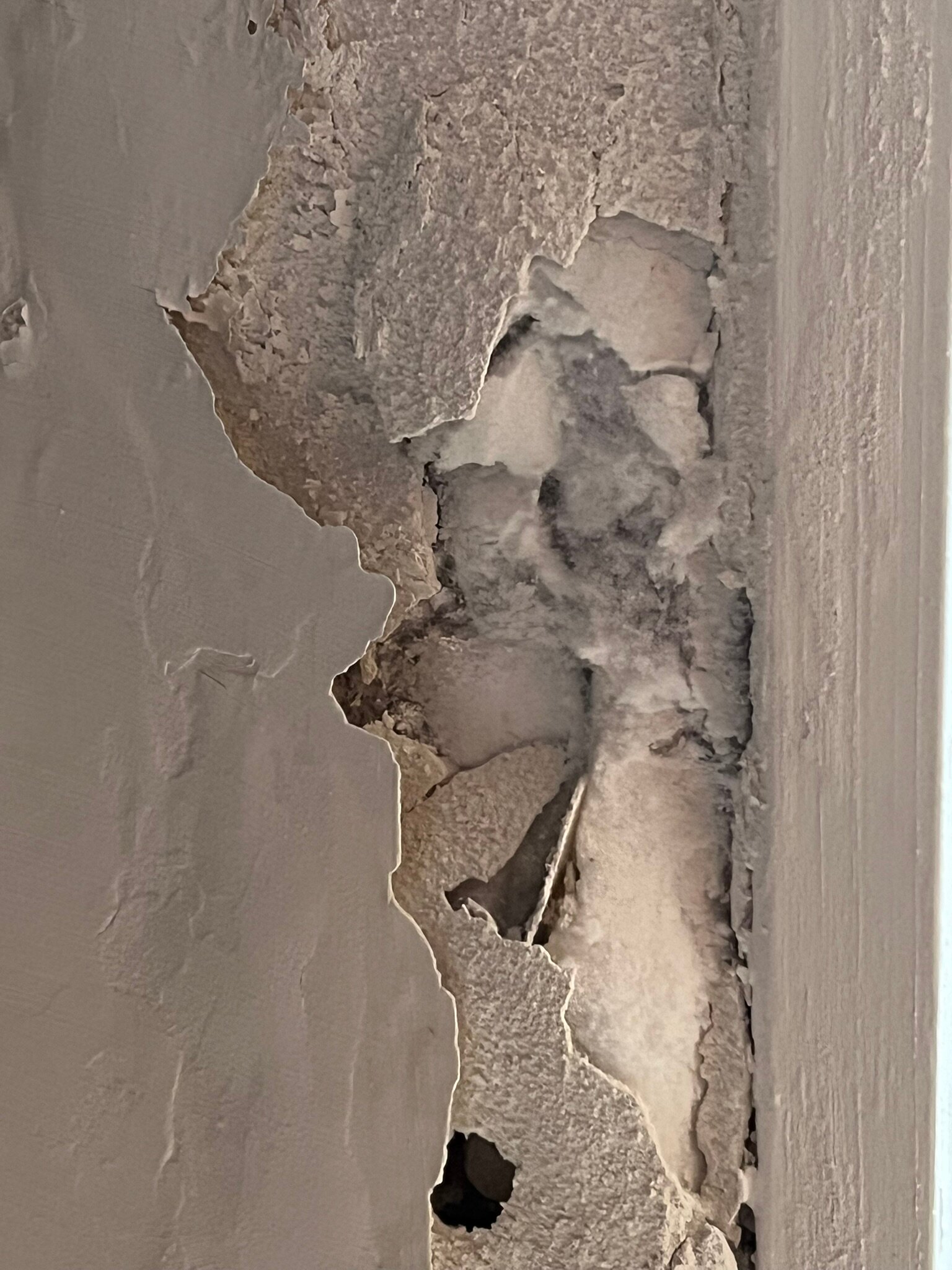 Hotel De La Ferme Lamy-客卧