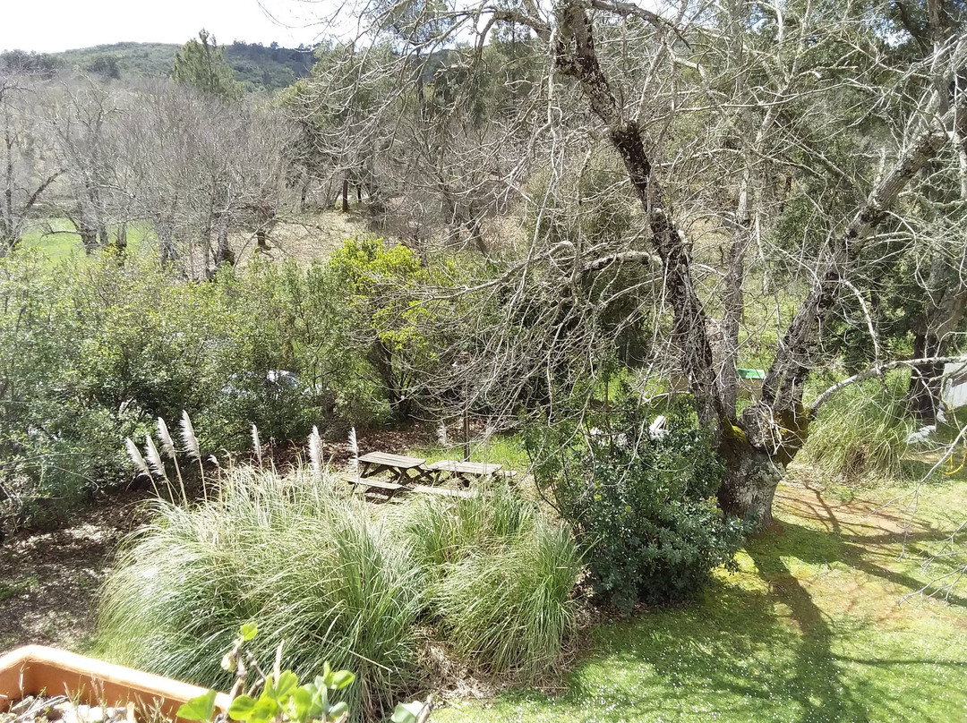 Finca La Media Legua Apartments主图