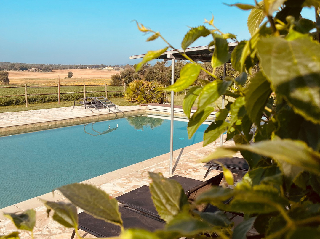 B&B El Ranxo Caldes de Malavella主图