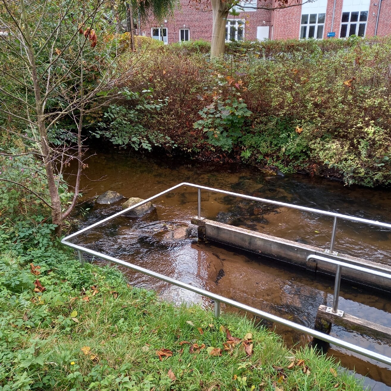 Ringhotel Sellhorn-官方