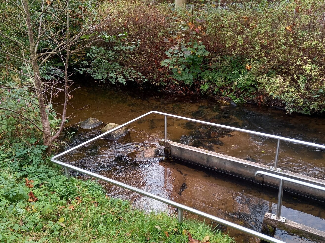 Ringhotel Sellhorn主图