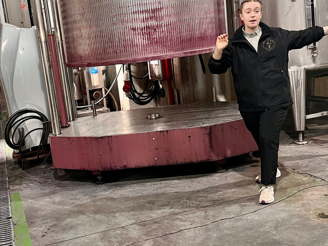 Bodegas Volver-Pinoso必去景点