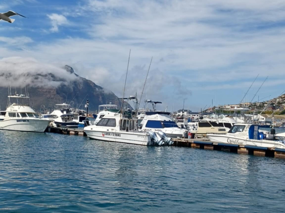 Nauticat Charters-木湾必去景点