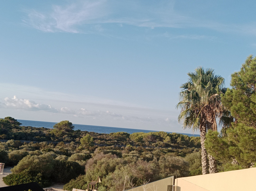 Grupotel Playa Club主图