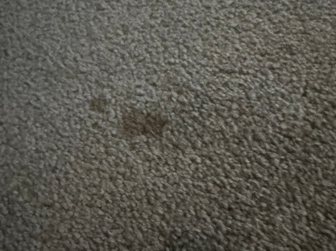 玫瑰苗圃酒店主图