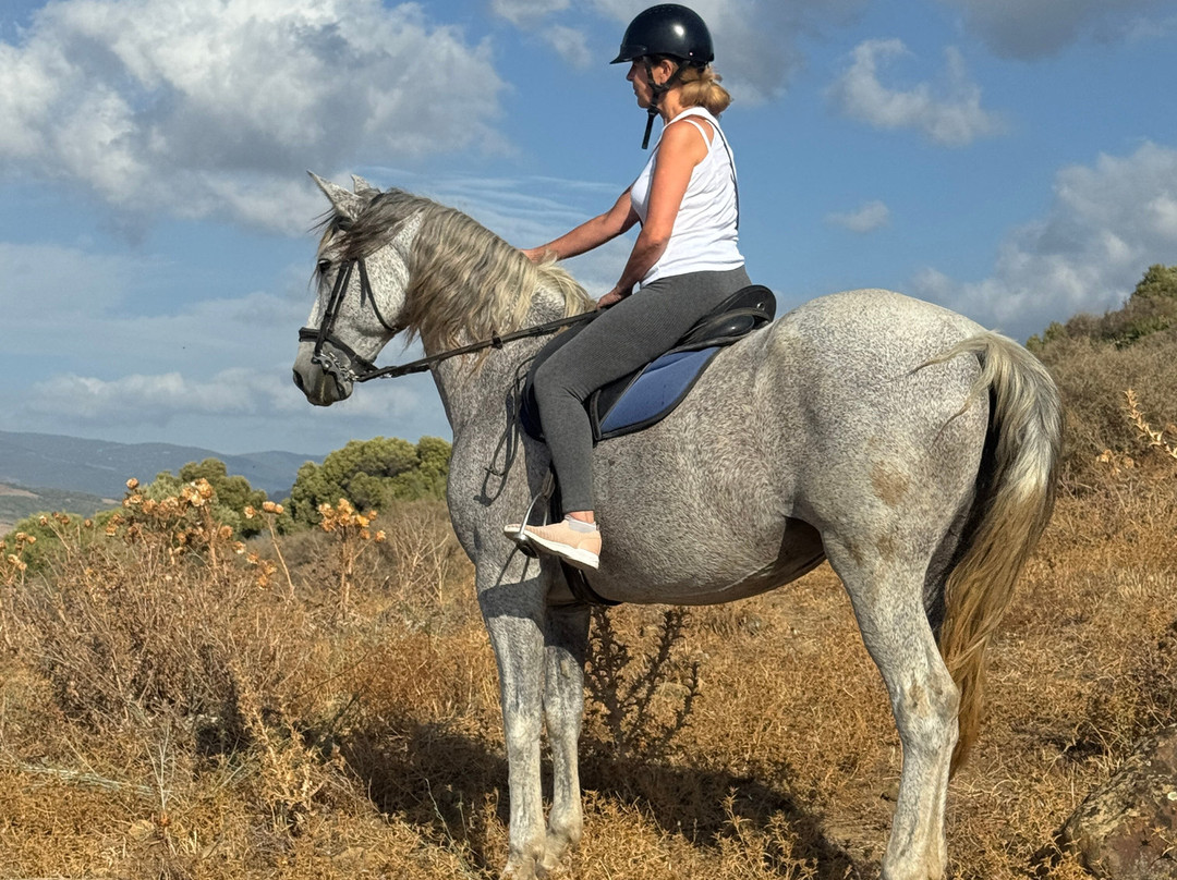 Riding Fun In The Sun-卡萨雷斯必去景点