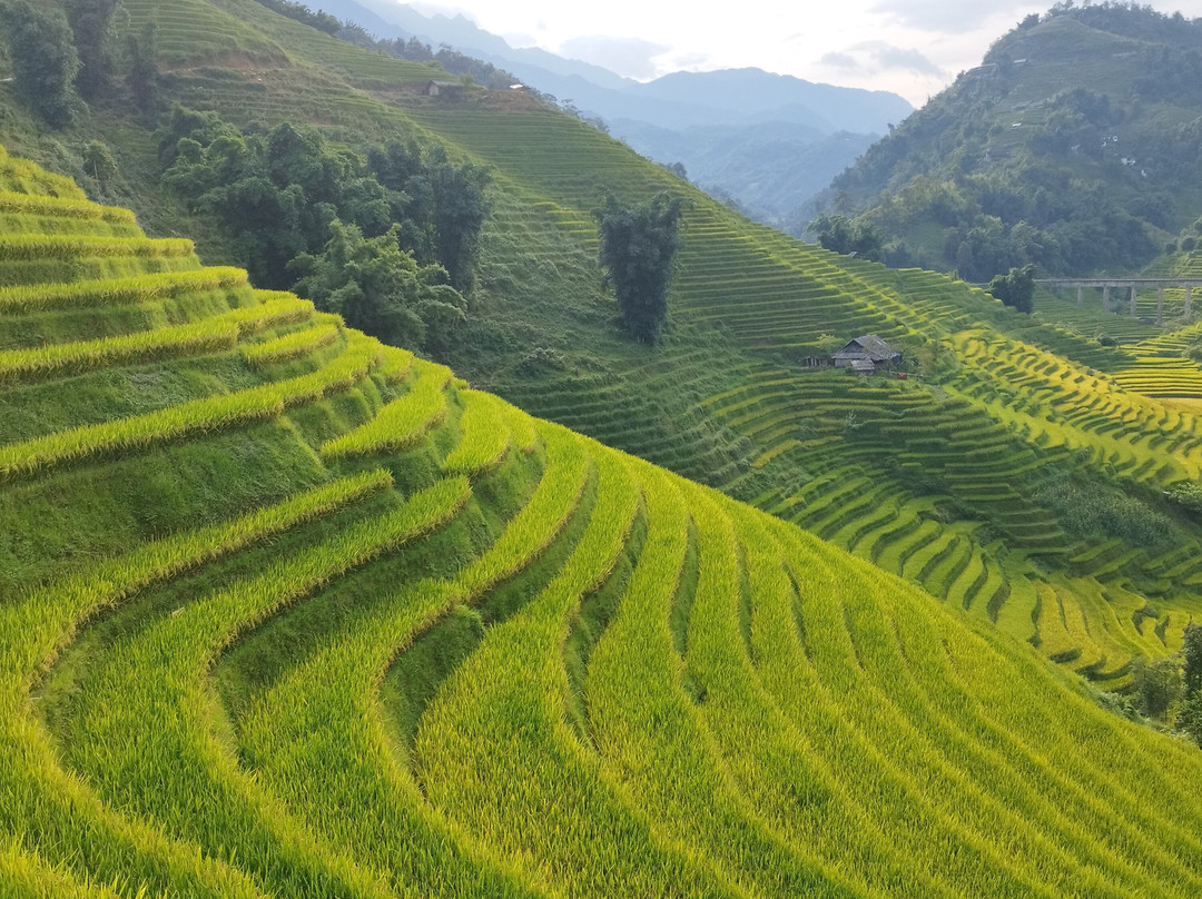 Kalos Tour-Hung Yen必去景点