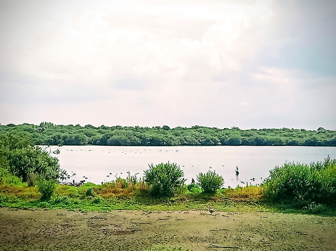 Westerplas-Schiermonnikoog必去景点